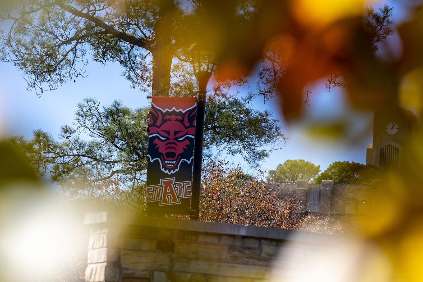 10 ngành học “hot” khi du học Mỹ – Gợi ý lựa chọn tại Đại học Bang Arkansas (A-State)
