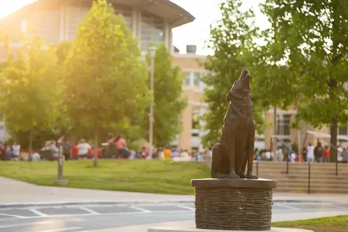 The Red Wolf statue on the A-State campus at sunset