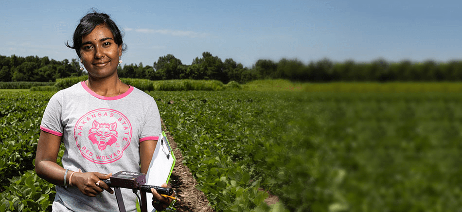 Bachelor of Science in Agriculture (B.S.A.) – Plant and Soil Science